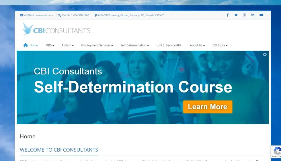CBI Consultants website portfolio screenshot